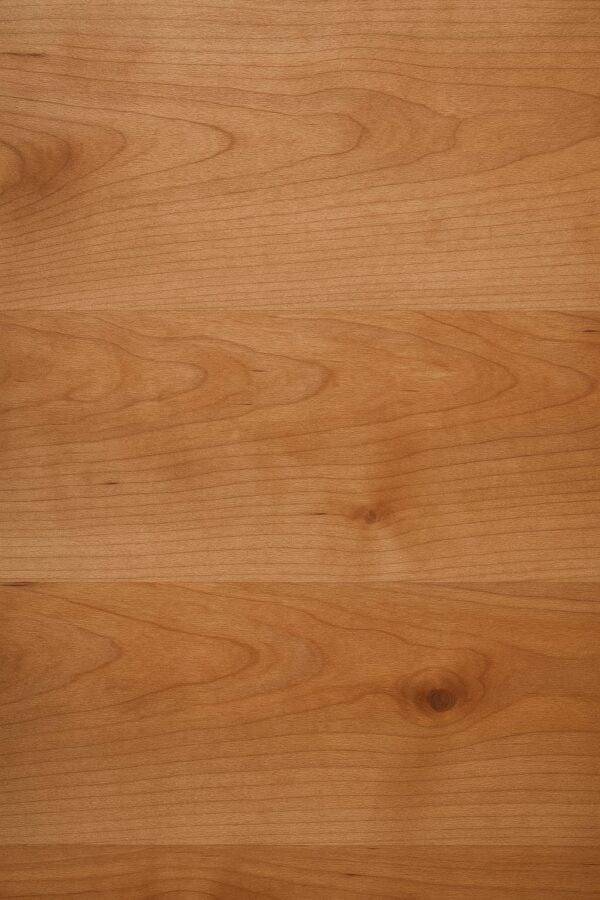 Arrimo Lenga - Imagen 3